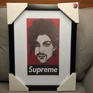 Fairchild Paris Supreme Prince Wall Art